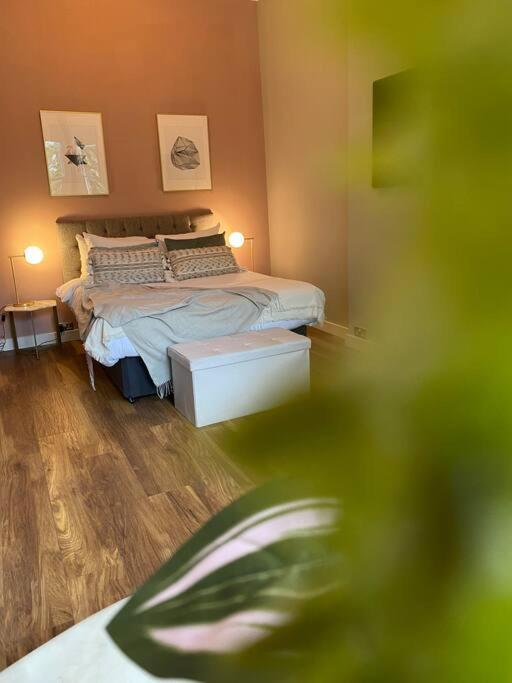 Stylish Studio For 3 Near Regents Park N4 London Eksteriør bilde
