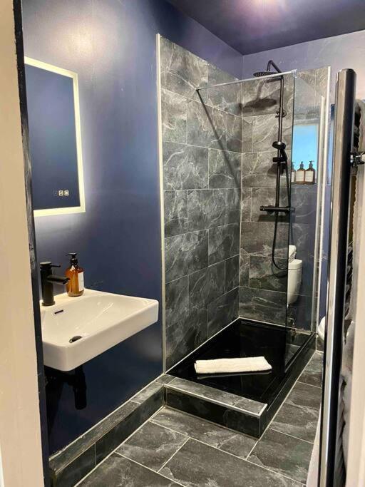 Stylish Studio For 3 Near Regents Park N4 London Eksteriør bilde