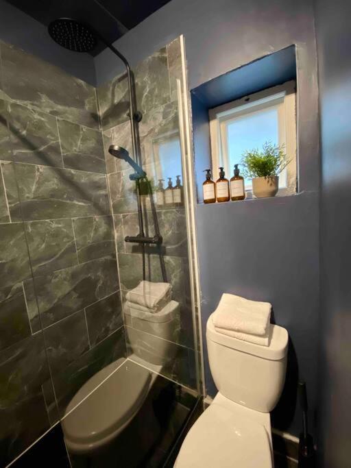 Stylish Studio For 3 Near Regents Park N4 London Eksteriør bilde